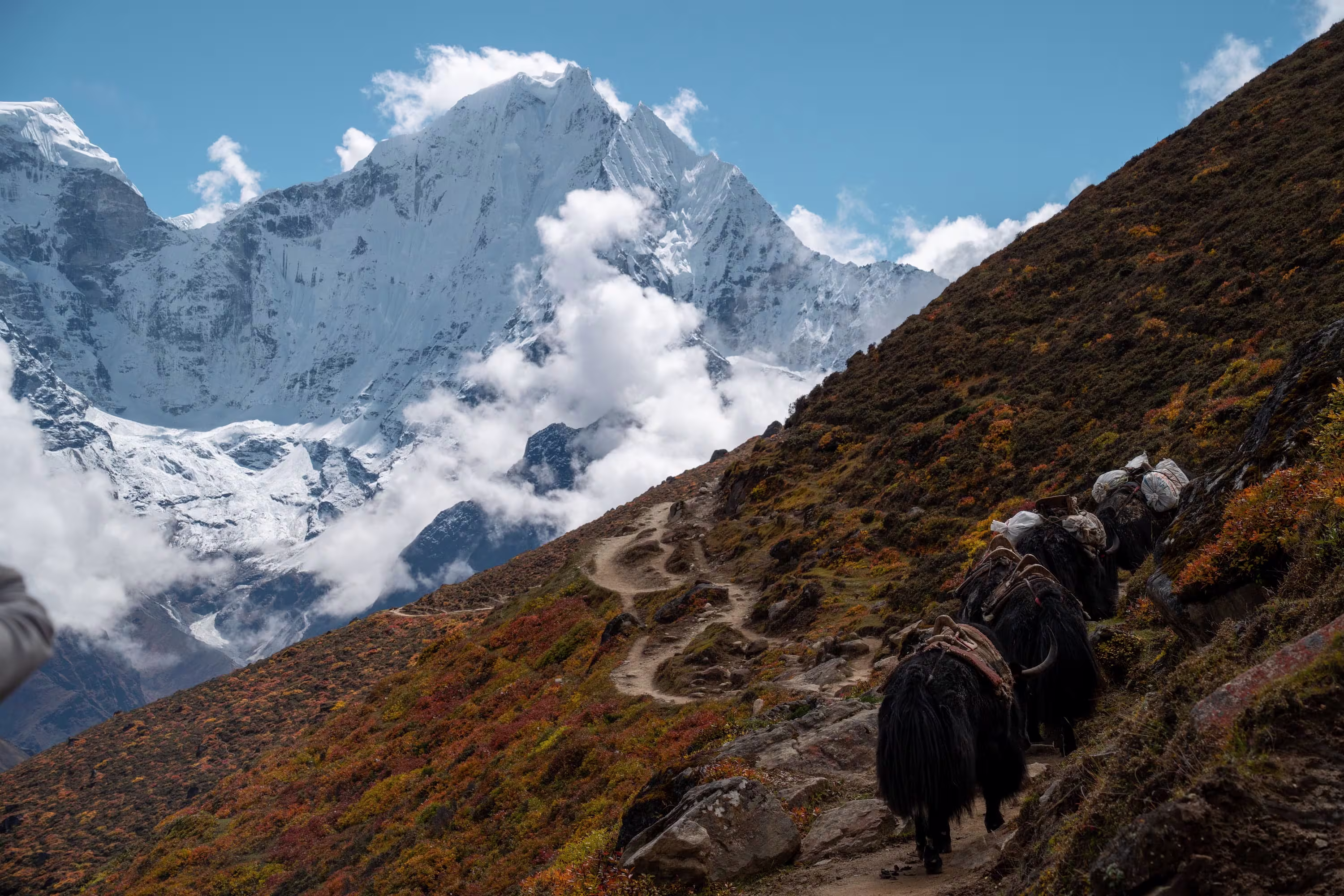 Himalayan Mountains